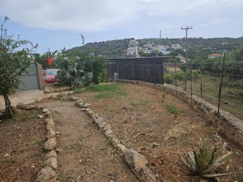 Ag. Varvara bei Sisi Kreta, Ag. Varvara: Bungalow mit großem Olivenhain in der Nähe eines Sandstrandes zu verkaufen Haus kaufen